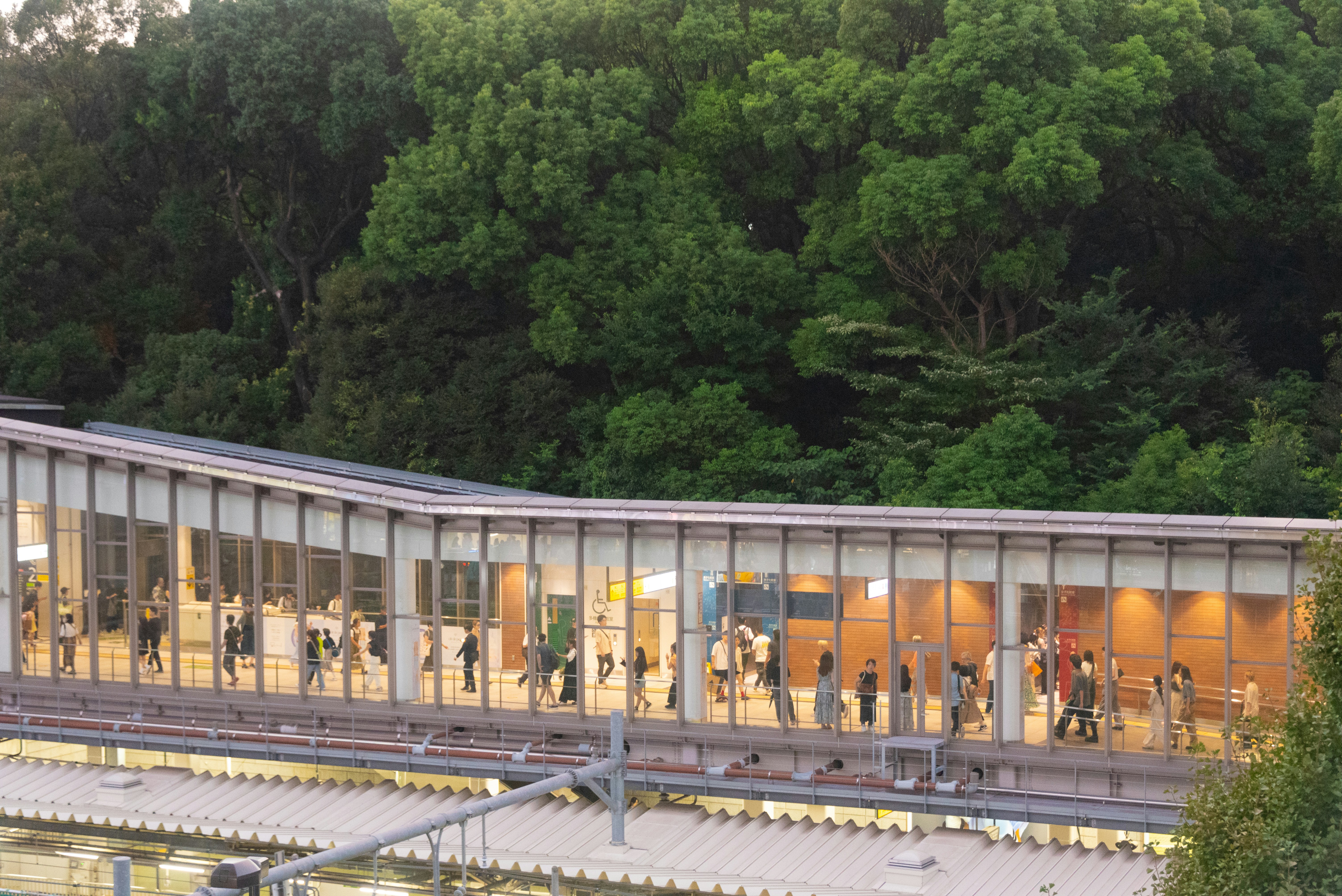 Creative and Sustainable Lighting for Everyone